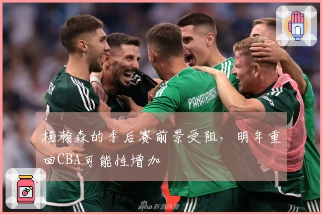 杨瀚森的季后赛前景受阻，明年重回CBA可能性增加