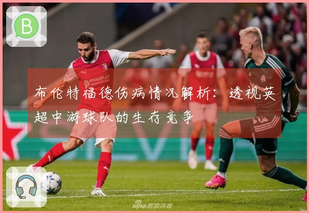 布伦特福德伤病情况解析：透视英超中游球队的生存竞争