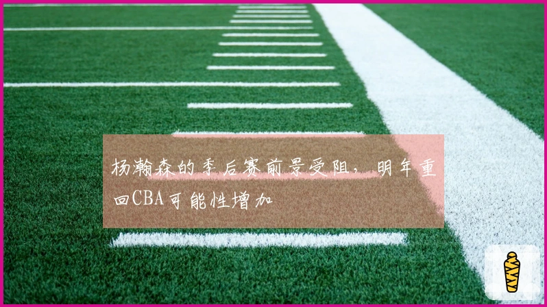 杨瀚森的季后赛前景受阻，明年重回CBA可能性增加